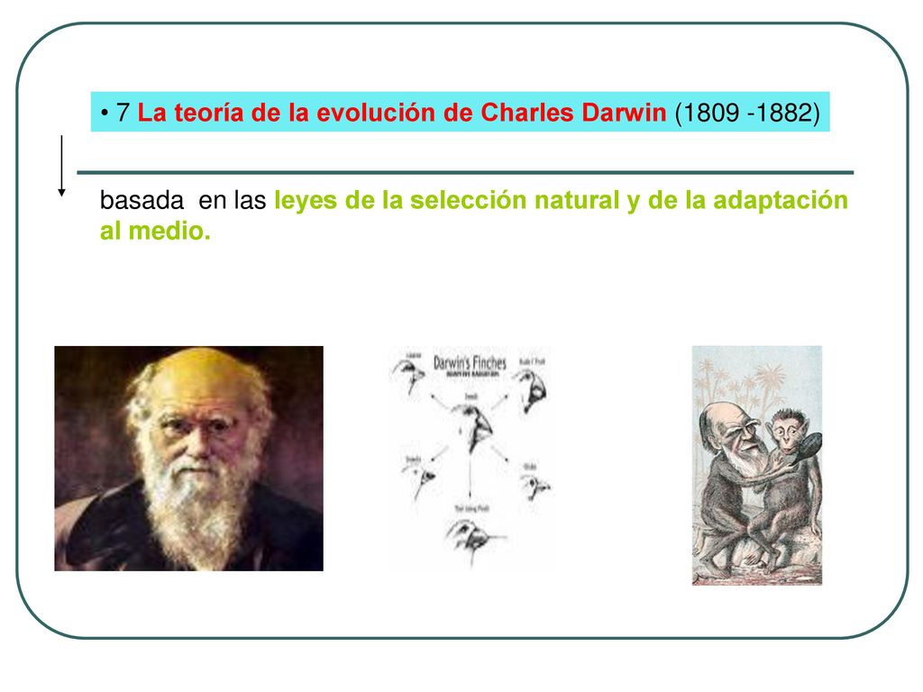 7 La teoría de la evolución de Charles Darwin ( )