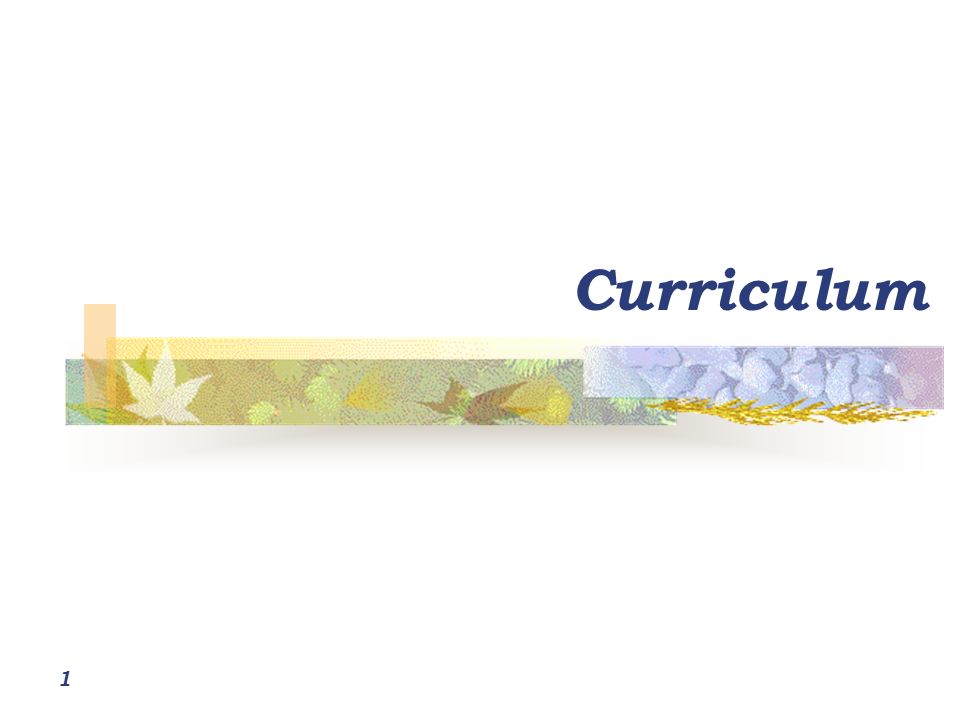 Curriculum