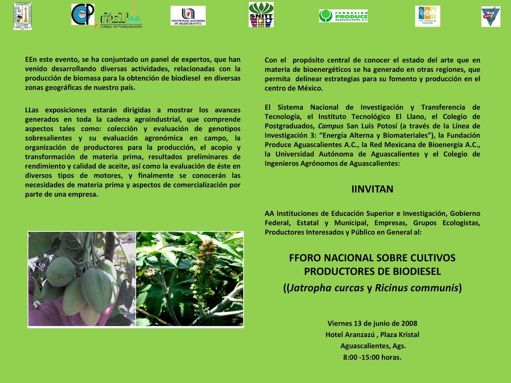 FFORO NACIONAL SOBRE CULTIVOS PRODUCTORES DE BIODIESEL
