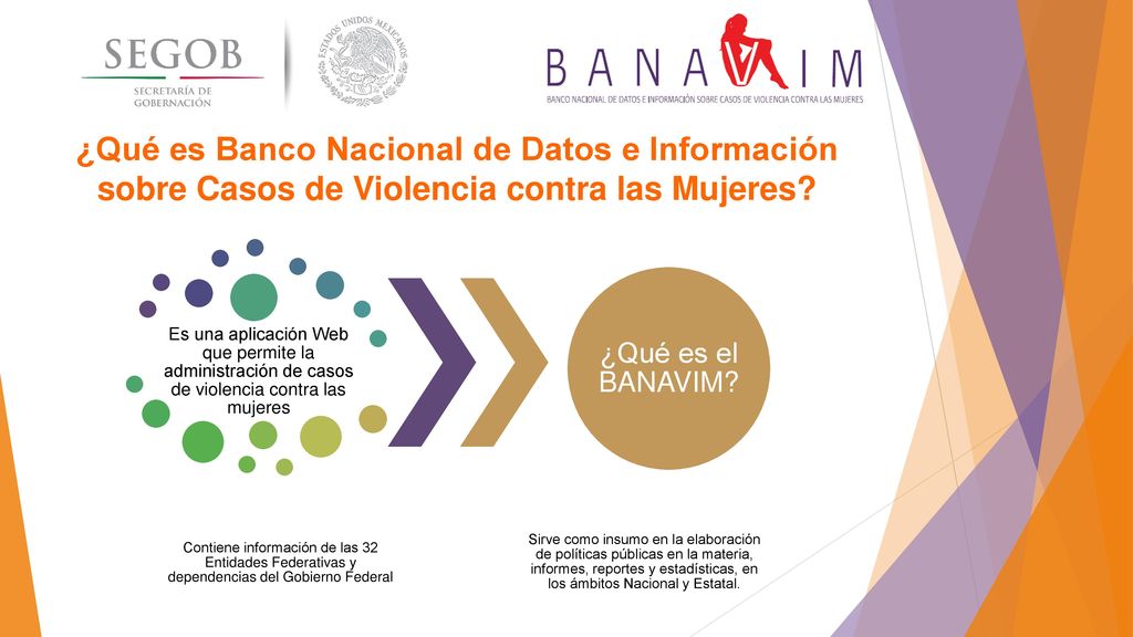 ¿Qué es Banco Nacional de Datos e Información sobre Casos de Violencia contra las Mujeres