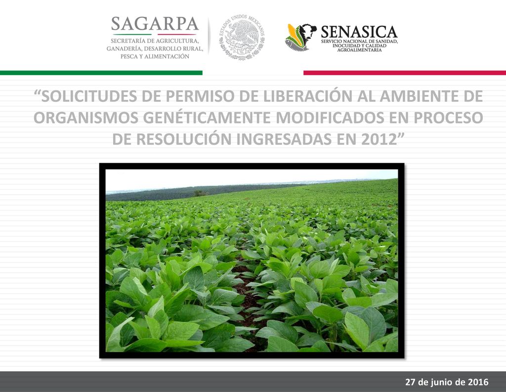 SOLICITUDES DE PERMISO DE LIBERACIÓN AL AMBIENTE DE ORGANISMOS GENÉTICAMENTE MODIFICADOS EN PROCESO DE RESOLUCIÓN INGRESADAS EN 2012