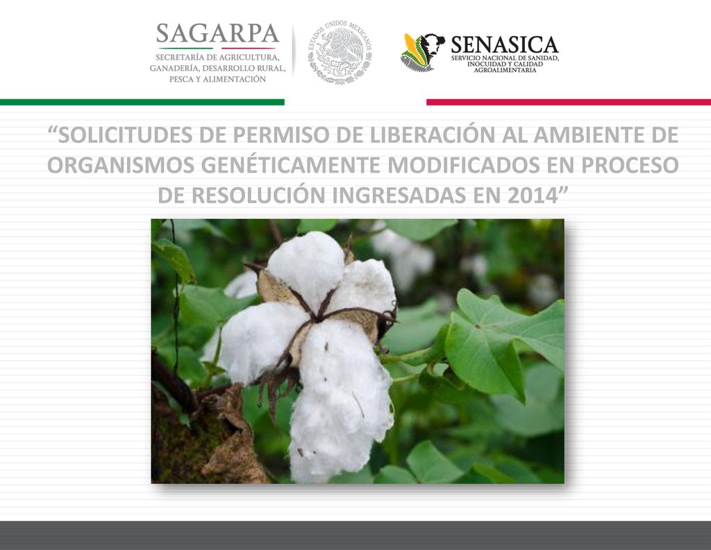 SOLICITUDES DE PERMISO DE LIBERACIÓN AL AMBIENTE DE ORGANISMOS GENÉTICAMENTE MODIFICADOS EN PROCESO DE RESOLUCIÓN INGRESADAS EN 2014