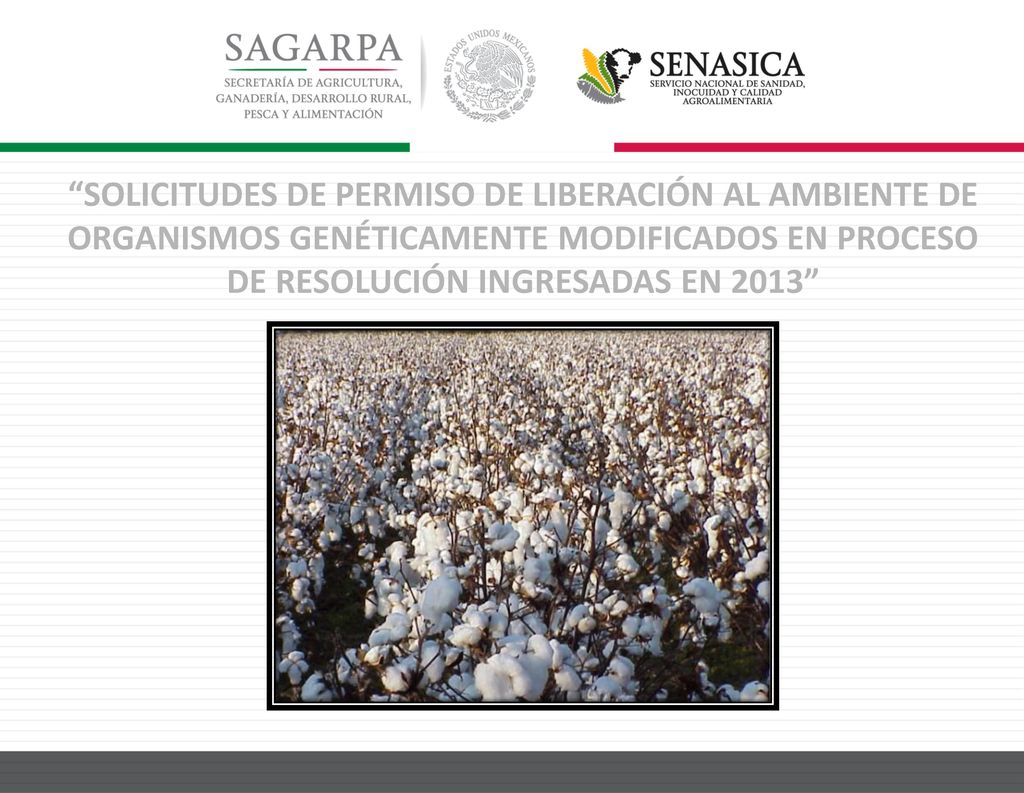 SOLICITUDES DE PERMISO DE LIBERACIÓN AL AMBIENTE DE ORGANISMOS GENÉTICAMENTE MODIFICADOS EN PROCESO DE RESOLUCIÓN INGRESADAS EN 2013