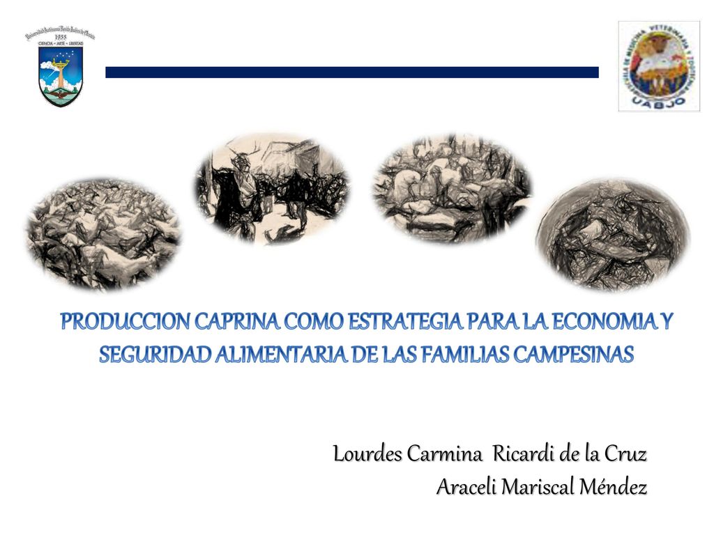 PRODUCCION CAPRINA COMO ESTRATEGIA PARA LA ECONOMIA Y SEGURIDAD ALIMENTARIA DE LAS FAMILIAS CAMPESINAS