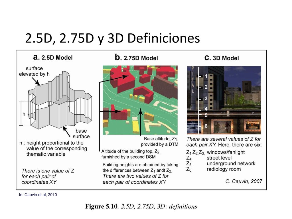 2.5D, 2.75D y 3D Definiciones In: Cauvin et al, 2010