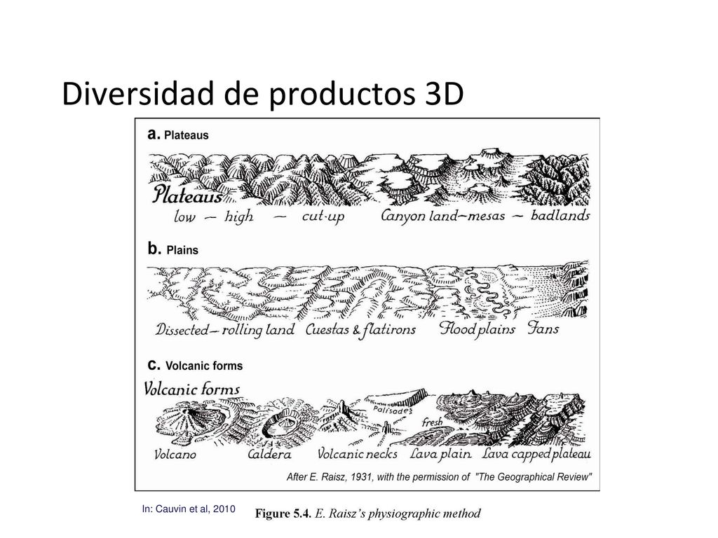 Diversidad de productos 3D