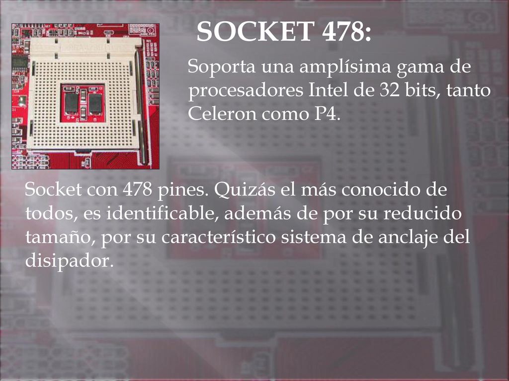 SOCKET 478: Soporta una amplísima gama de procesadores Intel de 32 bits, tanto Celeron como P4.