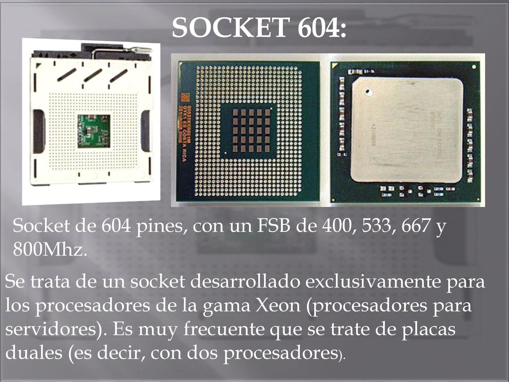 SOCKET 604: Socket de 604 pines, con un FSB de 400, 533, 667 y 800Mhz.