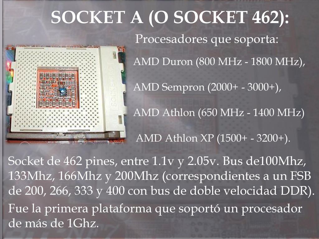 SOCKET A (O SOCKET 462): Procesadores que soporta: