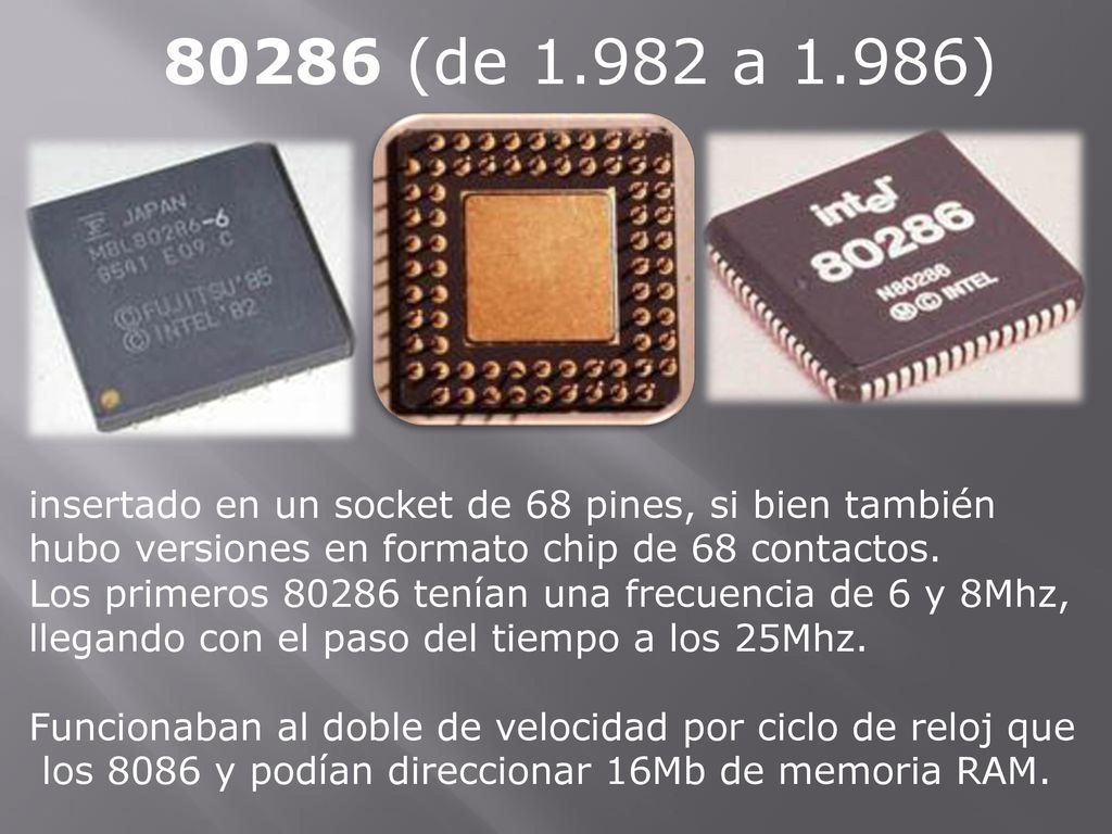 80286 (de a 1.986) insertado en un socket de 68 pines, si bien también. hubo versiones en formato chip de 68 contactos.