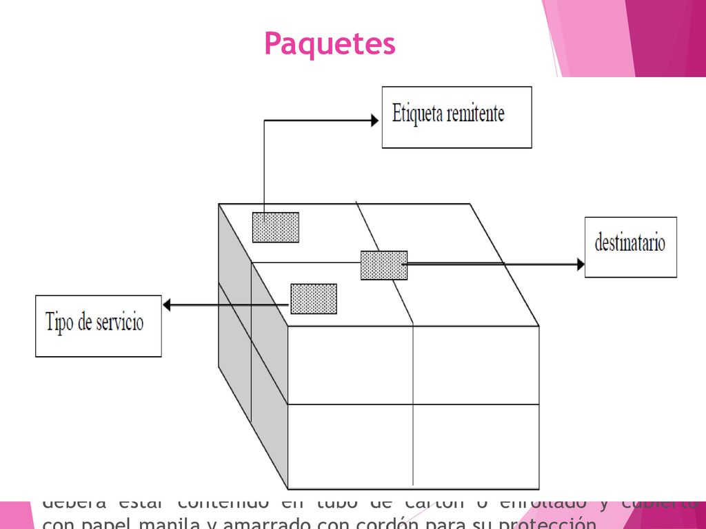 Paquetes En la elaboración de paquetes se observará lo siguiente :