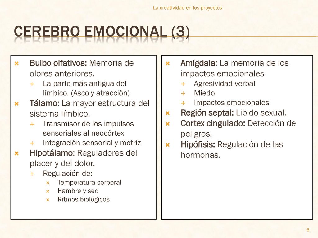 Cerebro emocional (3) Bulbo olfativos: Memoria de olores anteriores.