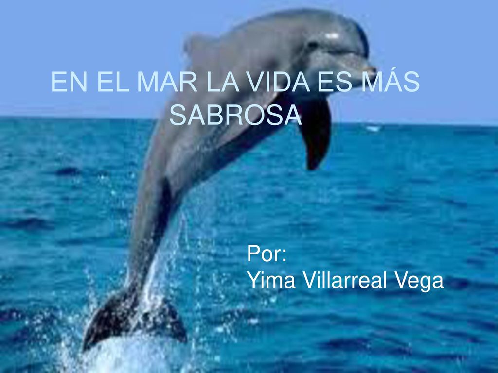 En el Agua la vida es más sabrosa