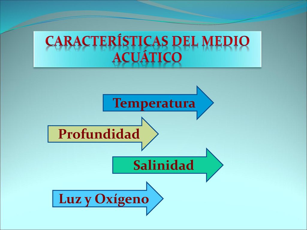 Características del Medio Acuático