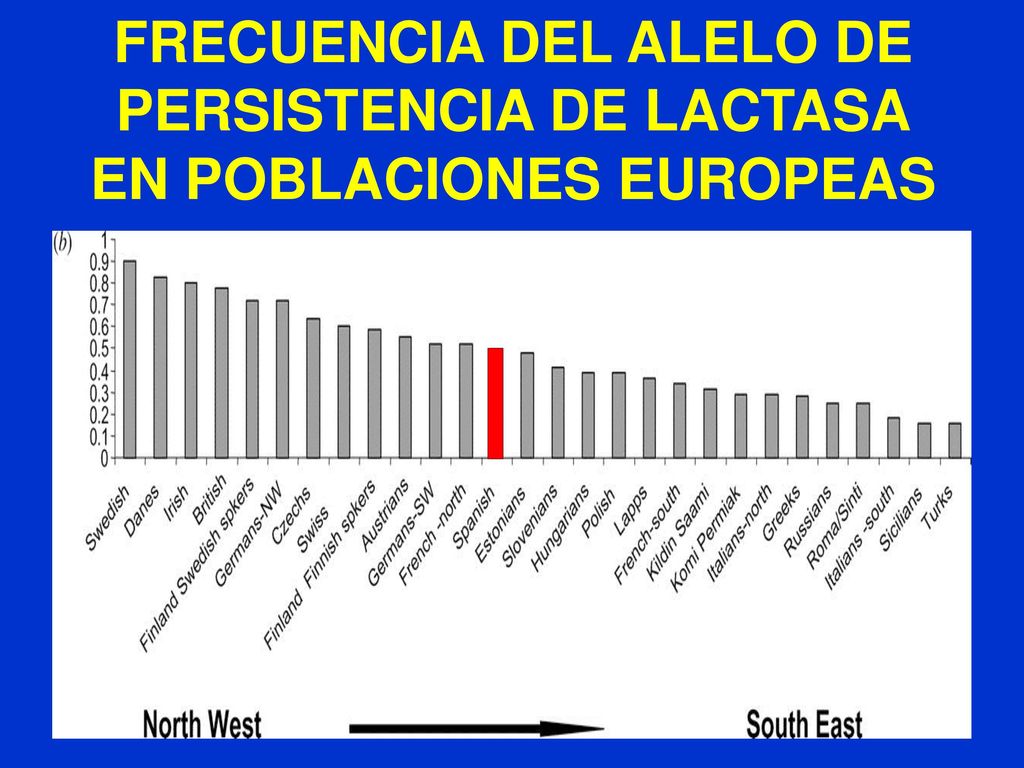 FRECUENCIA DEL ALELO DE PERSISTENCIA DE LACTASA EN POBLACIONES EUROPEAS