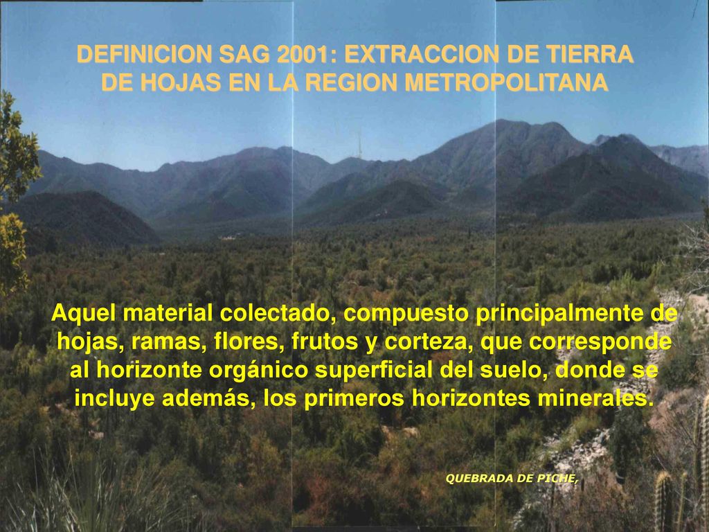 DEFINICION SAG 2001: EXTRACCION DE TIERRA DE HOJAS EN LA REGION METROPOLITANA