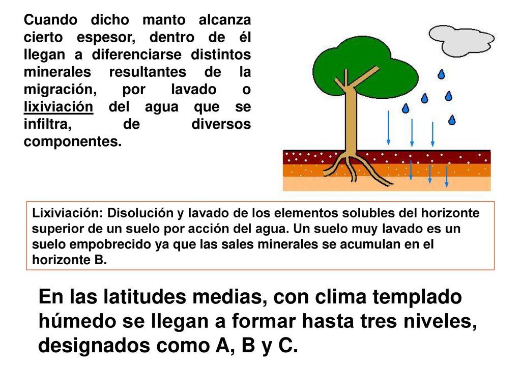 Cuando dicho manto alcanza cierto espesor, dentro de él llegan a diferenciarse distintos minerales resultantes de la migración, por lavado o lixiviación del agua que se infiltra, de diversos componentes.