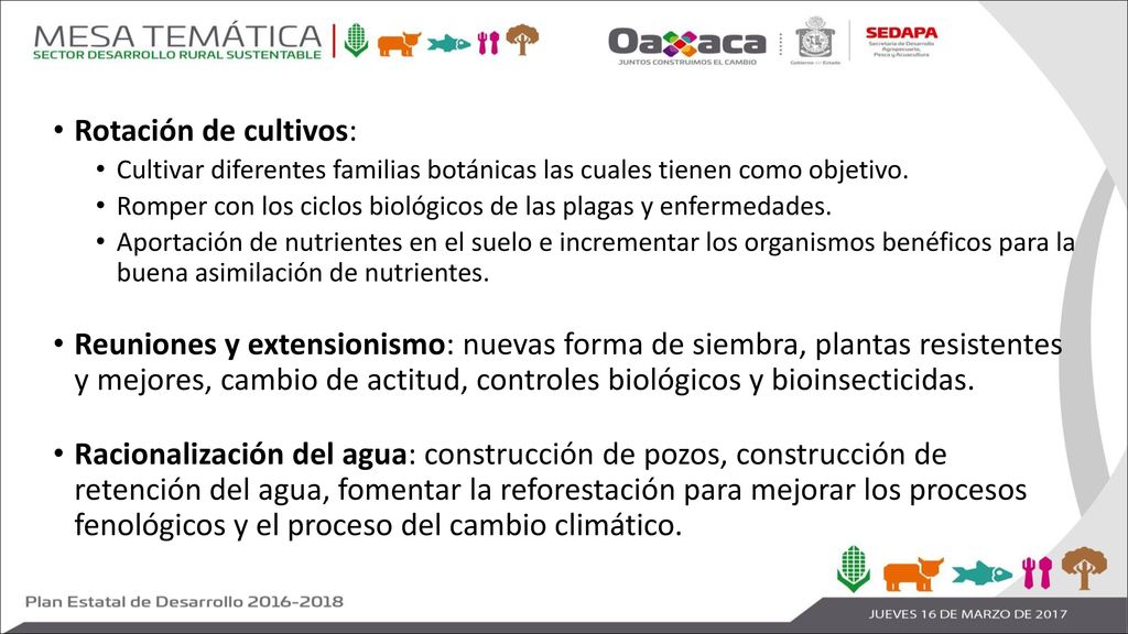 Rotación de cultivos: Cultivar diferentes familias botánicas las cuales tienen como objetivo.