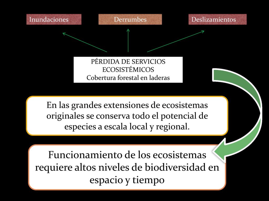 Inundaciones Derrumbes. Deslizamientos. PÉRDIDA DE SERVICIOS ECOSISTÉMICOS. Cobertura forestal en laderas.