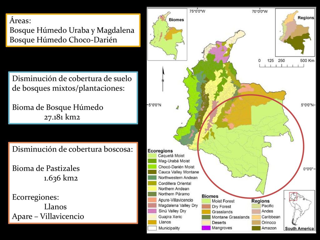 Áreas: Bosque Húmedo Uraba y Magdalena. Bosque Húmedo Choco-Darién. Disminución de cobertura de suelo de bosques mixtos/plantaciones: