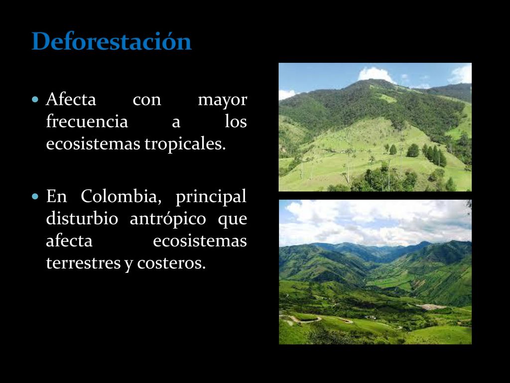 Deforestación Afecta con mayor frecuencia a los ecosistemas tropicales.