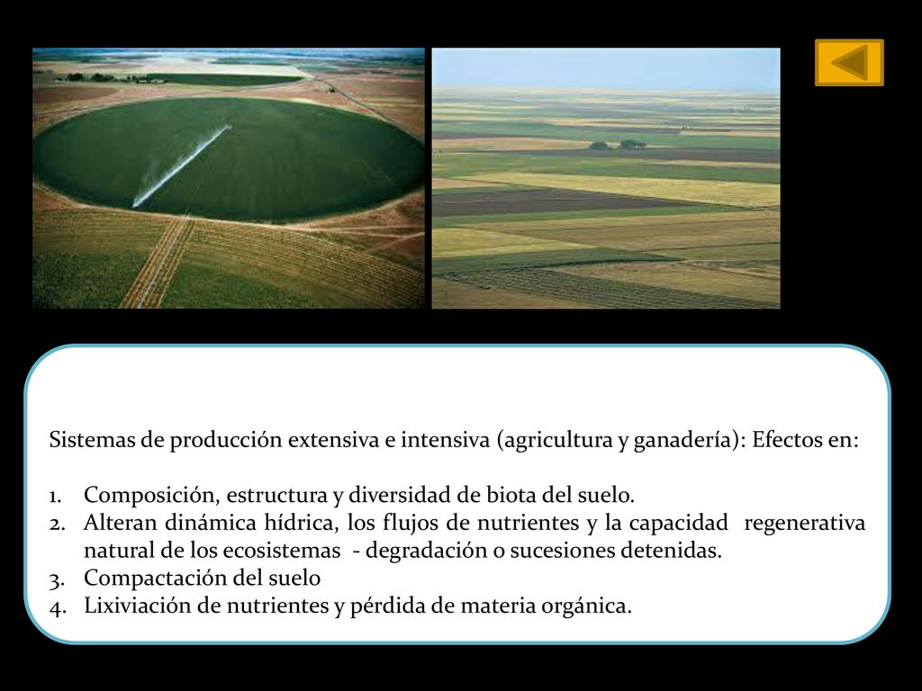 Sistemas de producción extensiva e intensiva (agricultura y ganadería): Efectos en: