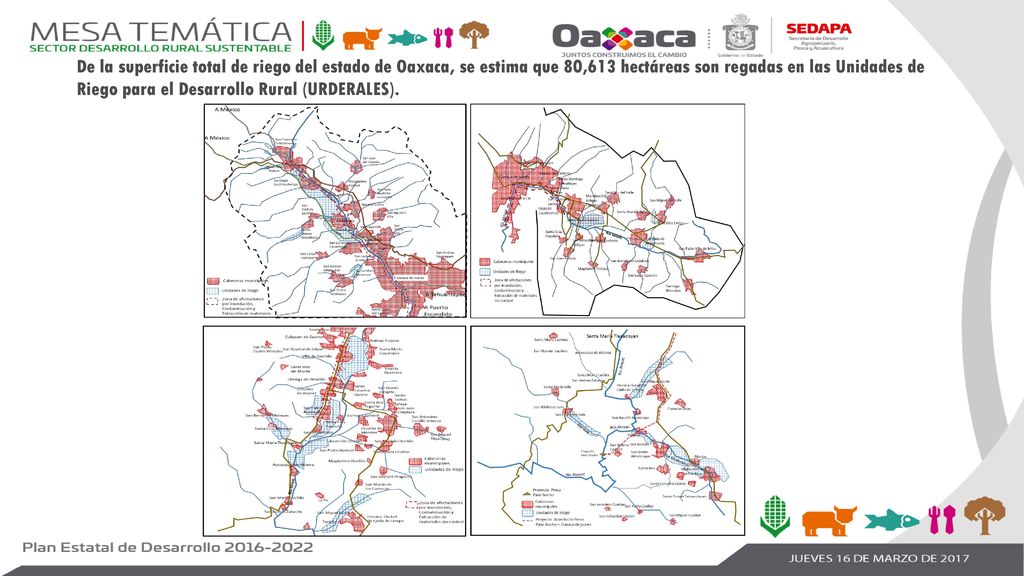 De la superficie total de riego del estado de Oaxaca, se estima que 80,613 hectáreas son regadas en las Unidades de Riego para el Desarrollo Rural (URDERALES).