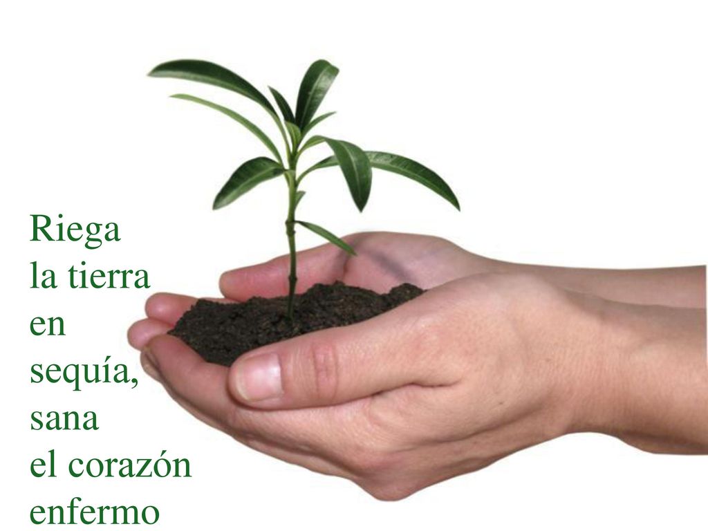 Riega la tierra en sequía, sana el corazón enfermo