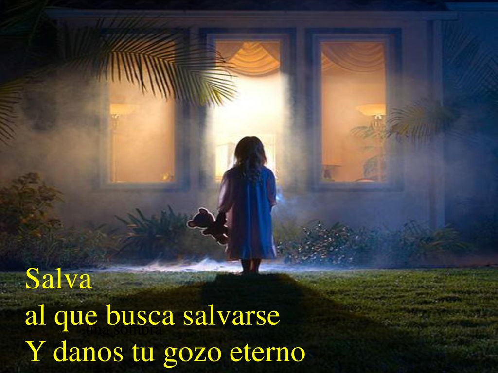 Salva al que busca salvarse Y danos tu gozo eterno una sombra