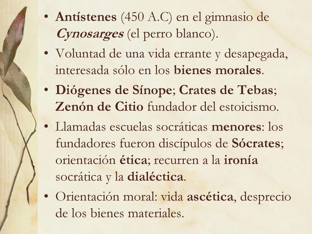 Antístenes (450 A.C) en el gimnasio de Cynosarges (el perro blanco).
