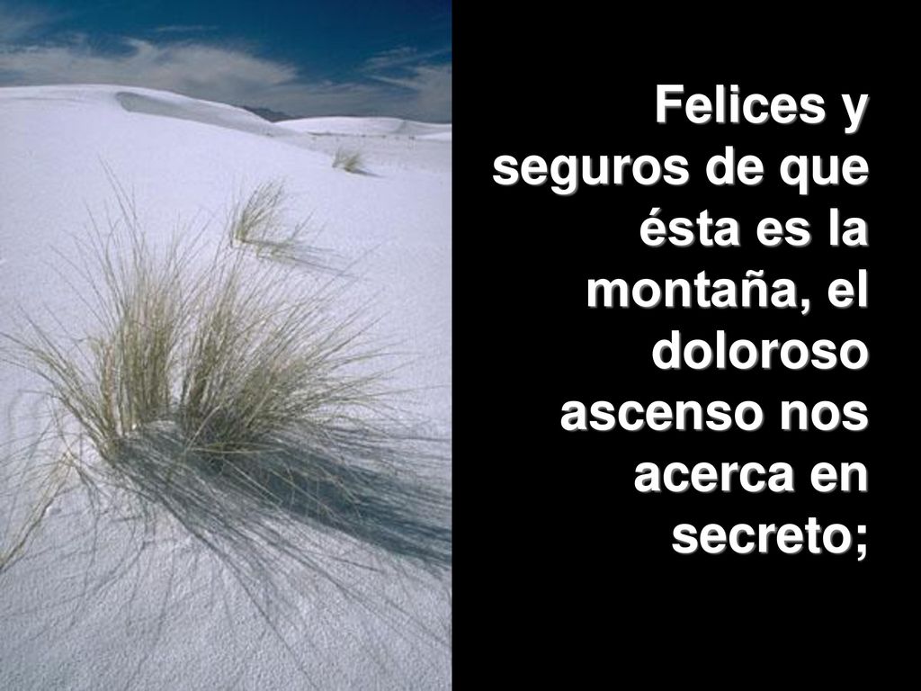 Felices y seguros de que ésta es la montaña, el doloroso ascenso nos acerca en secreto;