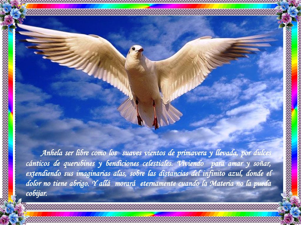 Anhela ser libre como los suaves vientos de primavera y llevada, por dulces cánticos de querubines y bendiciones celestiales.