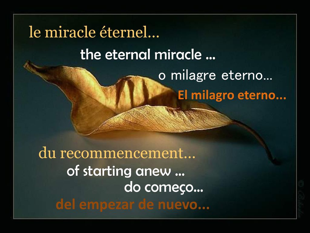 le miracle éternel… the eternal miracle … o milagre eterno...