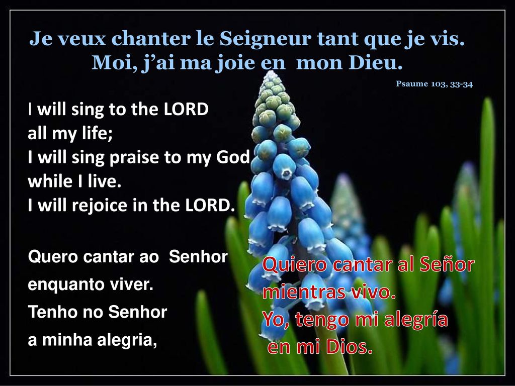 Quiero cantar al Señor mientras vivo. Yo, tengo mi alegría en mi Dios.
