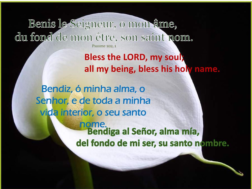 Benis le Seigneur, o mon âme, du fond de mon être, son saint nom.