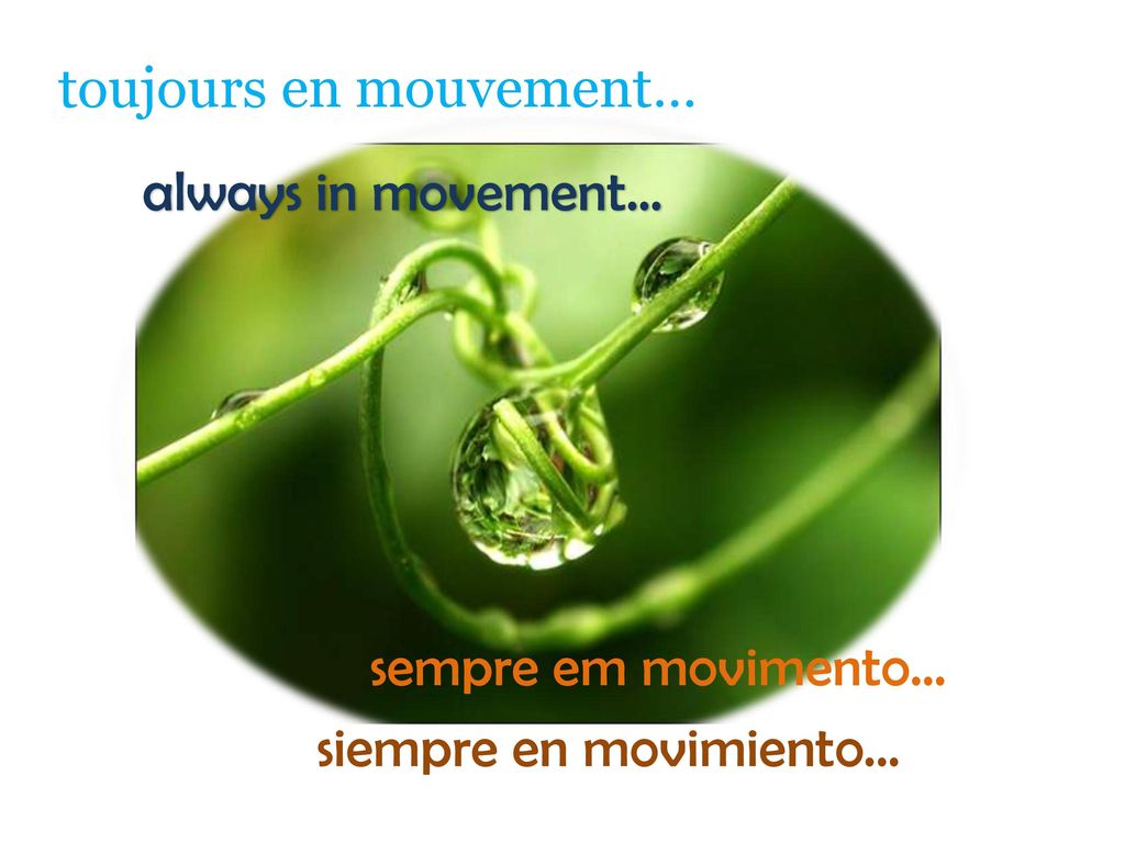 toujours en mouvement… always in movement… sempre em movimento... siempre en movimiento...