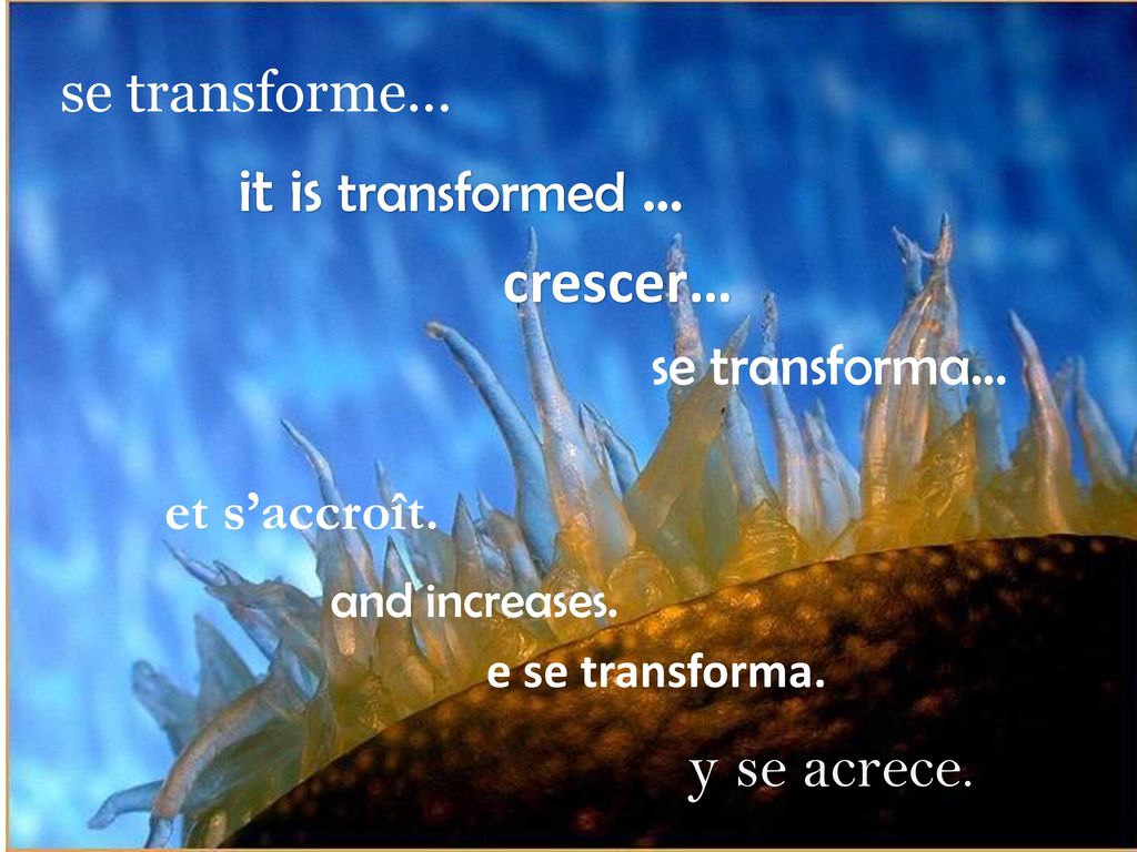 it is transformed … crescer… y se acrece. se transforme...