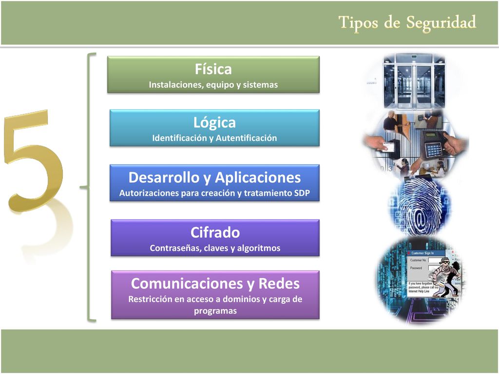 5 Tipos de Seguridad Física Lógica Desarrollo y Aplicaciones Cifrado