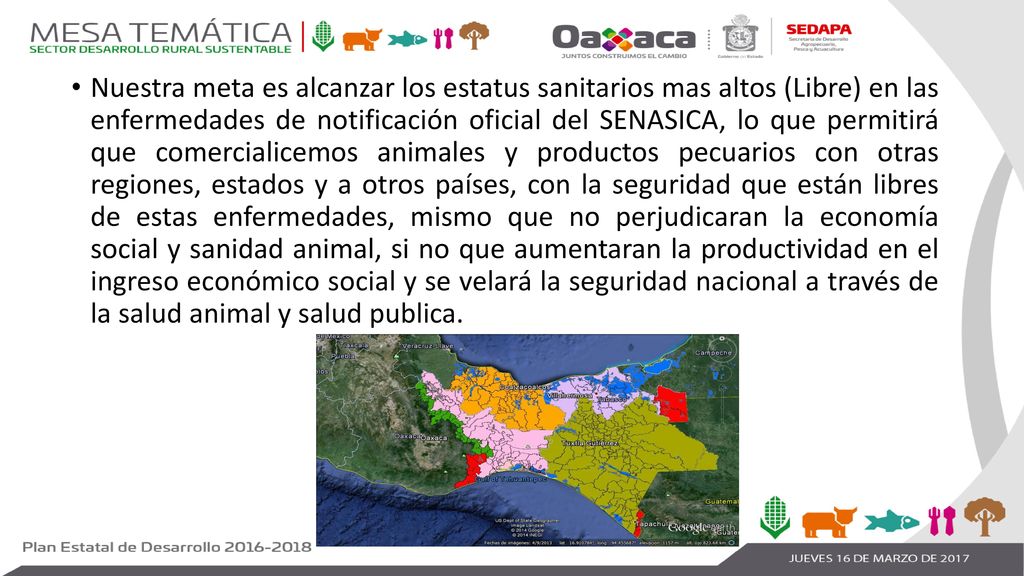 Nuestra meta es alcanzar los estatus sanitarios mas altos (Libre) en las enfermedades de notificación oficial del SENASICA, lo que permitirá que comercialicemos animales y productos pecuarios con otras regiones, estados y a otros países, con la seguridad que están libres de estas enfermedades, mismo que no perjudicaran la economía social y sanidad animal, si no que aumentaran la productividad en el ingreso económico social y se velará la seguridad nacional a través de la salud animal y salud publica.