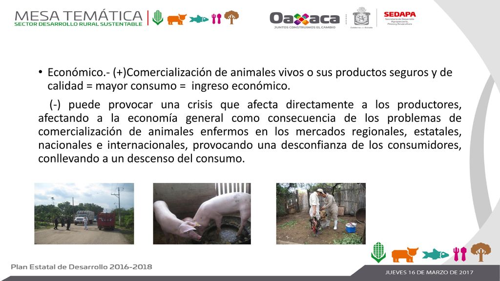 Económico.- (+)Comercialización de animales vivos o sus productos seguros y de calidad = mayor consumo = ingreso económico.