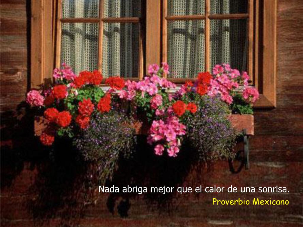 Nada abriga mejor que el calor de una sonrisa.