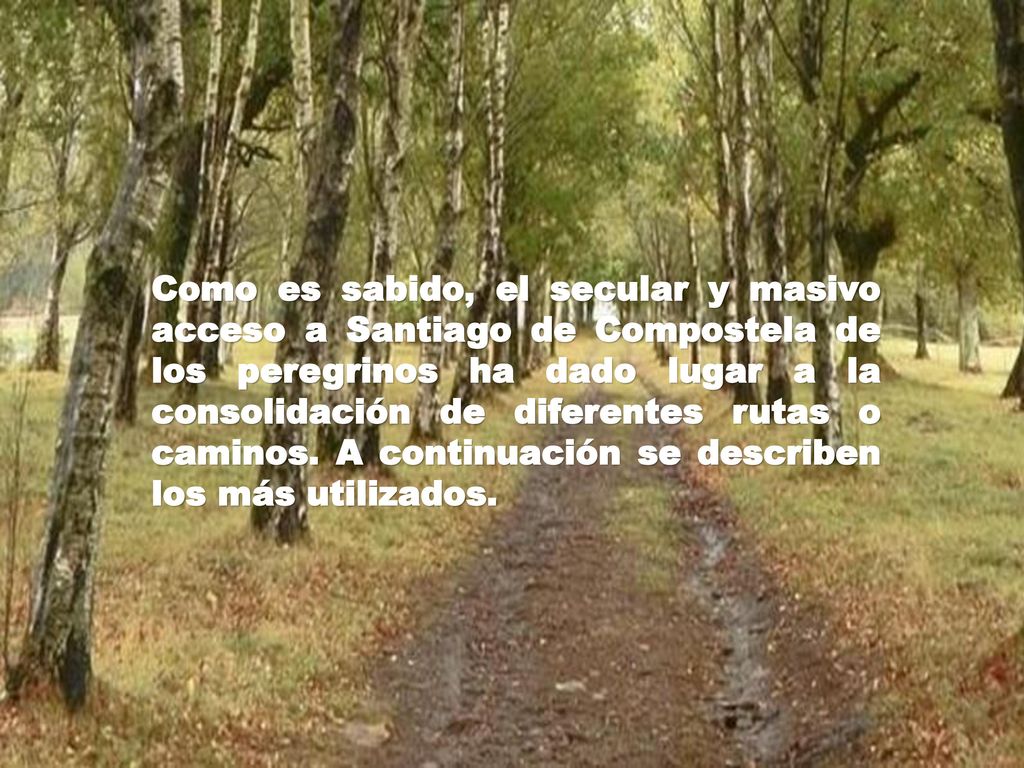 Como es sabido, el secular y masivo acceso a Santiago de Compostela de los peregrinos ha dado lugar a la consolidación de diferentes rutas o caminos.
