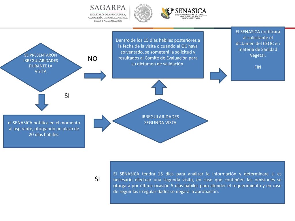 El SENASICA notificará al solicitante el dictamen del CEOC en materia de Sanidad Vegetal.