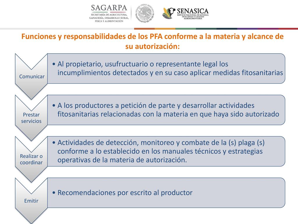 Funciones y responsabilidades de los PFA conforme a la materia y alcance de su autorización: