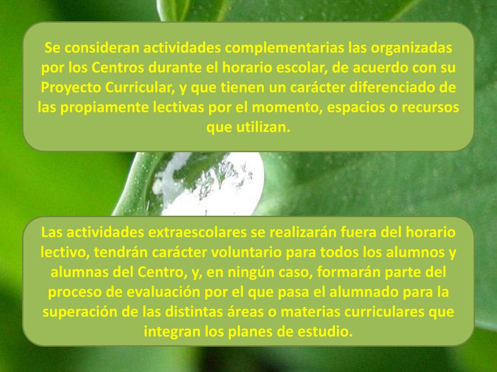 Se consideran actividades complementarias las organizadas por los Centros durante el horario escolar, de acuerdo con su Proyecto Curricular, y que tienen un carácter diferenciado de las propiamente lectivas por el momento, espacios o recursos que utilizan.