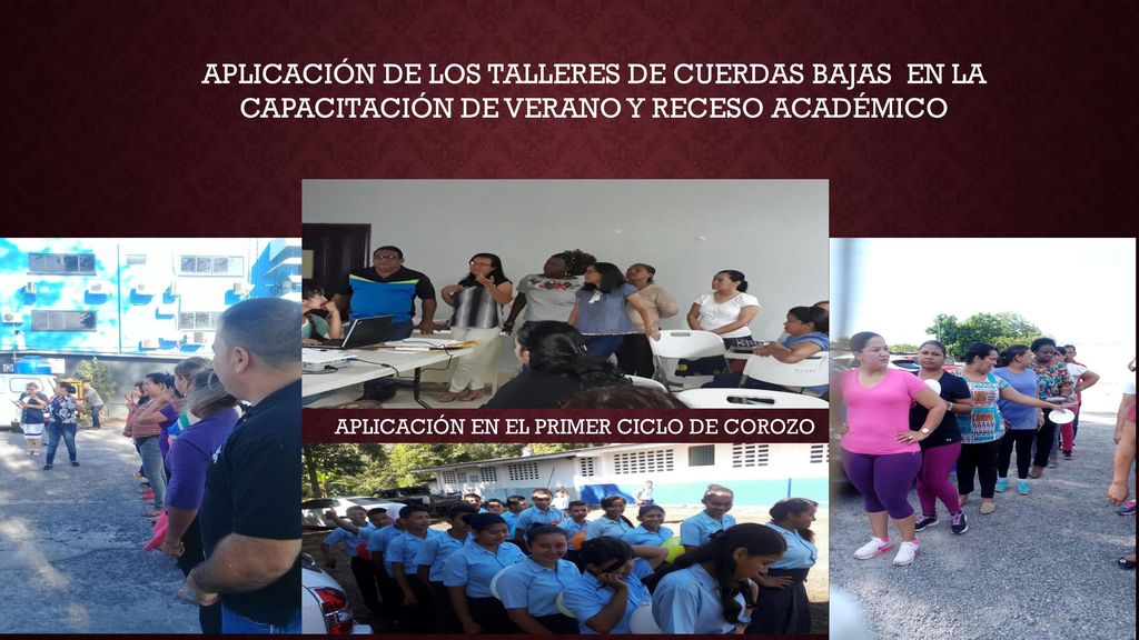 APLICACIÓN DE LOS TALLERES DE CUERDAS BAJAS EN LA CAPACITACIÓN DE VERANO Y RECESO ACADÉMICO