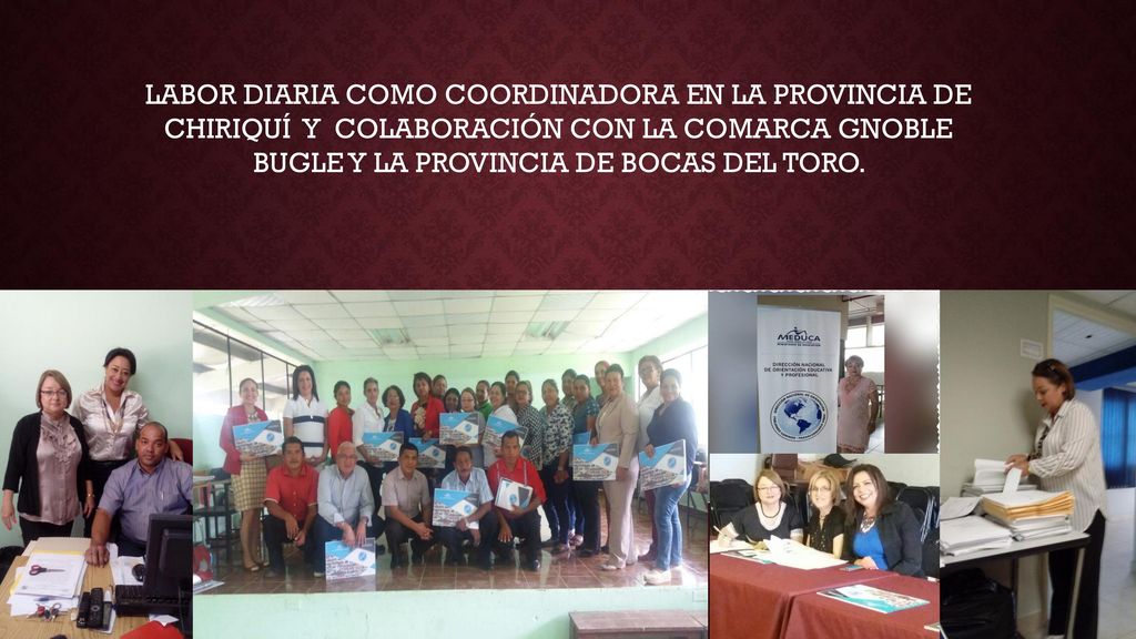 LABOR DIARIA COMO COORDINADORA EN LA PROVINCIA DE CHIRIQUÍ Y COLABORACIÓN CON LA COMARCA GNOBLE BUGLE Y LA PROVINCIA DE BOCAS DEL TORO.
