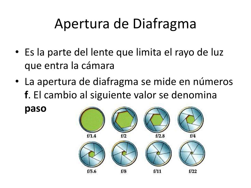 Apertura de Diafragma Es la parte del lente que limita el rayo de luz que entra la cámara.