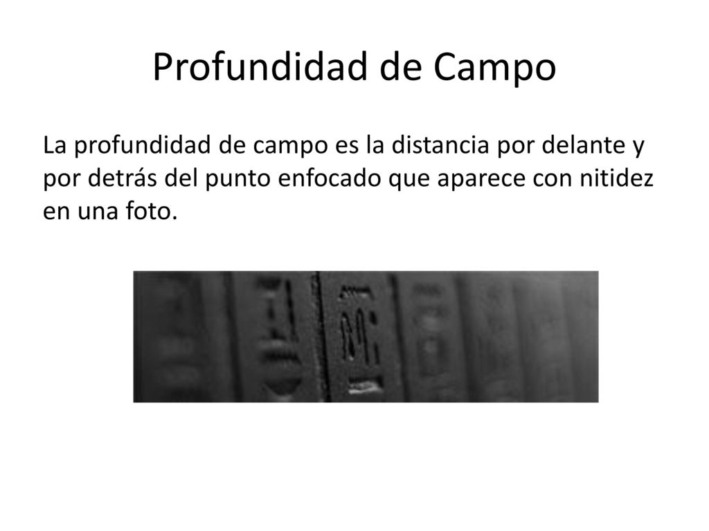 Profundidad de Campo La profundidad de campo es la distancia por delante y por detrás del punto enfocado que aparece con nitidez en una foto.