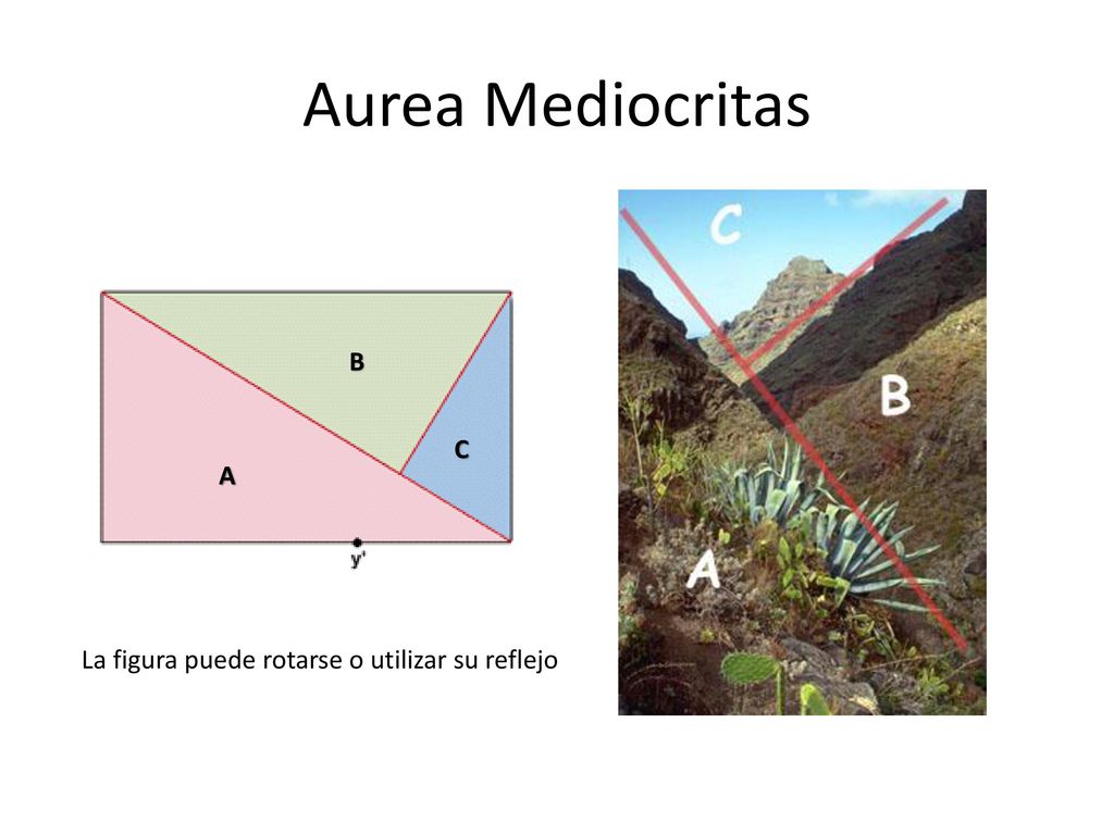 Aurea Mediocritas B C A La figura puede rotarse o utilizar su reflejo